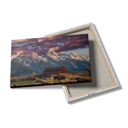 Canvas schilderij details Bizons Grazen voor een Schuur
