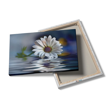 Canvas schilderij details Witte Margriet Weerspiegeld in Water
