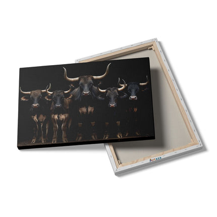 Canvas schilderij details Groep Stieren die Zich voor een Donkere Achtergrond Bevinden