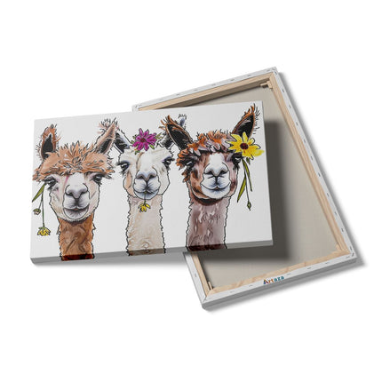 Canvas schilderij details Drie Lama's met Bloemen op hun Hoofd
