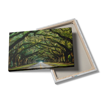 Canvas schilderij details Met Bomen Omzoomde Weg in Charleston, Zuid-Carolina