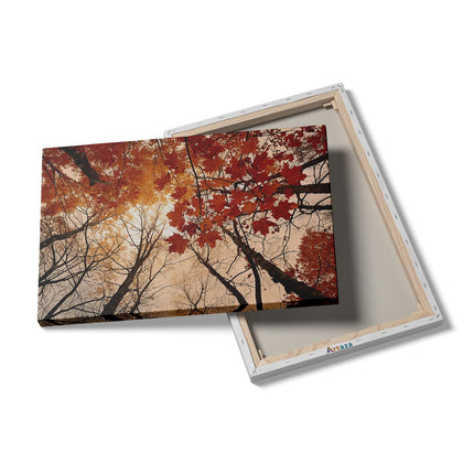 Canvas schilderij details Herfstbladeren in de Bomen