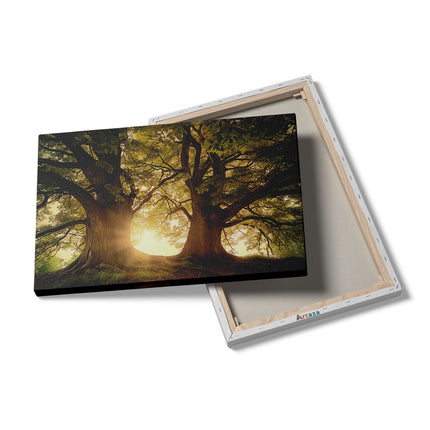 Canvas schilderij details De Zon schijnt door de Bomen
