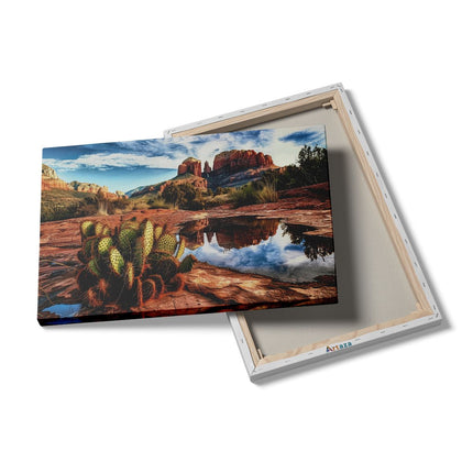Canvas schilderij details Cactusplant Wordt Weerspiegeld in een Vijver in Sedona, Arizona