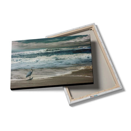 Canvas schilderij details Reiger Staat aan de Oever van de Oceaan