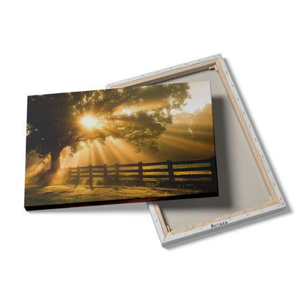Canvas schilderij details Zonnestralen Komen door een Boom in een Veld
