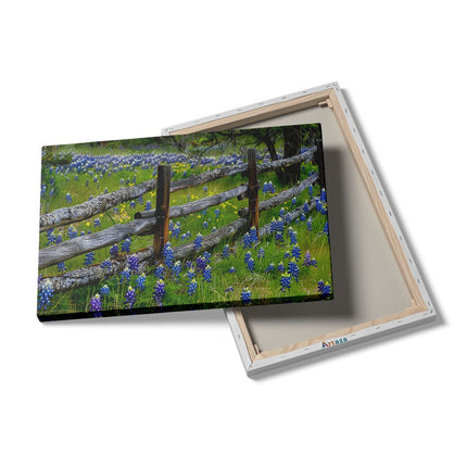 Canvas schilderij details Hek met Bluebonnets op de Achtergrond