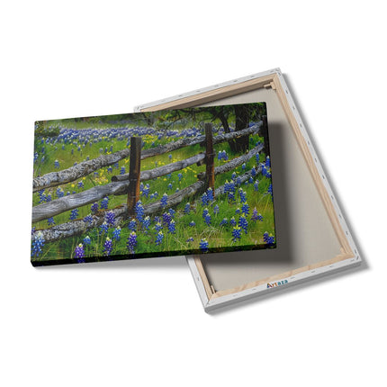 Canvas schilderij details Hek, Bluebonnets, Texas