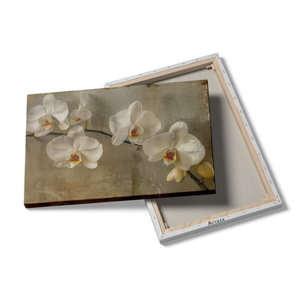 Canvas schilderij details Witte Orchideeën op een Tak