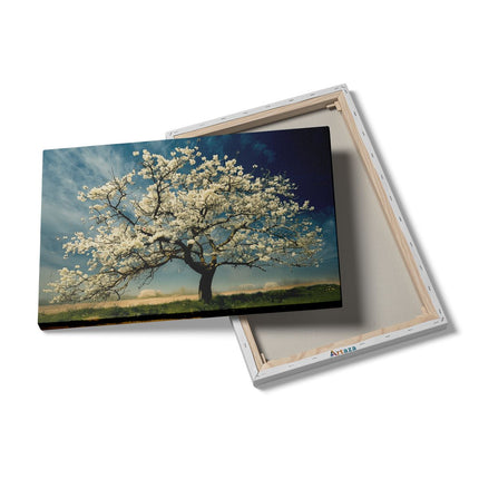 Canvas schilderij details Witte Boom in een Veld