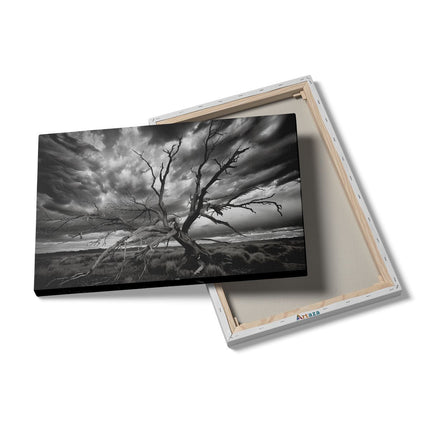 Canvas schilderij details Dode Boom Midden in een Stormachtige Lucht
