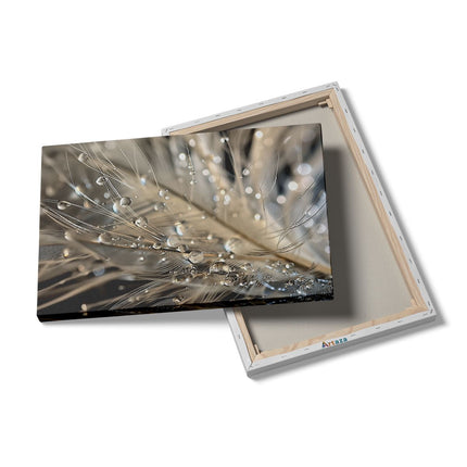 Canvas schilderij details Waterdruppels op een Veer