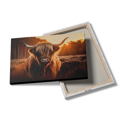 Canvas schilderij details Hooglandkoe die in een Veld Staat bij Zonsondergang