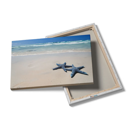 Canvas schilderij details Twee Zeester op een Strand