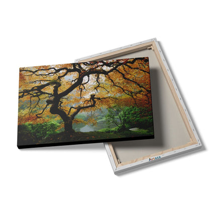 Canvas schilderij details Oude Knoestige Boom