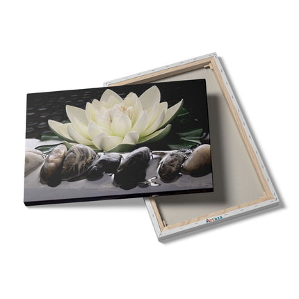 Canvas schilderij details Lotusbloem Wit met Stenen
