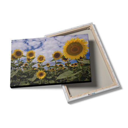Canvas schilderij details Zonnebloemen op de Voorgrond
