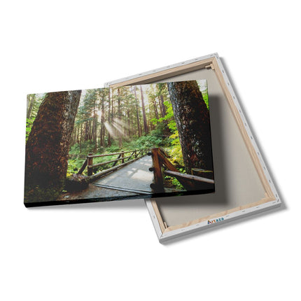 Canvas schilderij details Brug in het Bos