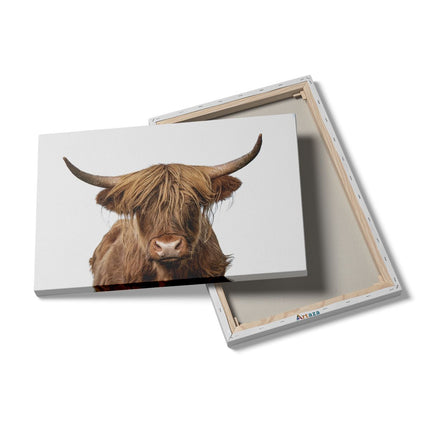 Canvas schilderij details Longhorn