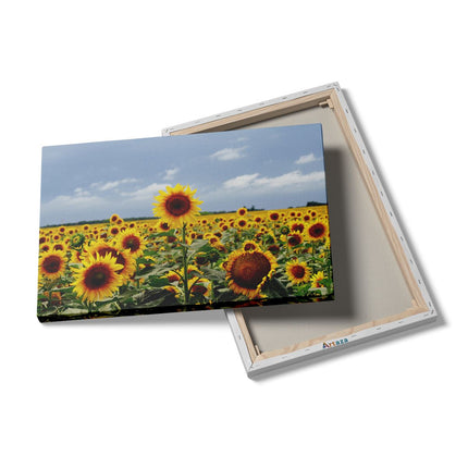 Canvas schilderij details Zonnebloemen