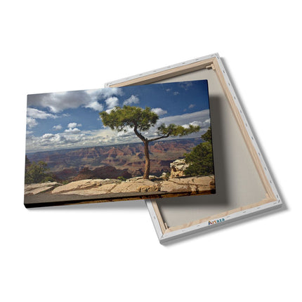 Canvas schilderij details Grand Canyon met Boom