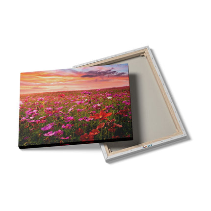 Canvas Schilderij Details Kleurrijke Kosmos Bloemenveld