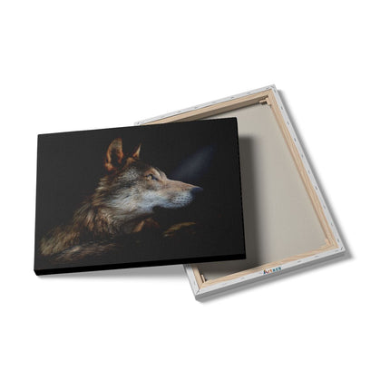 Canvas Schilderij Details Wolvenkop Met Een Zonnestraal - Wolf