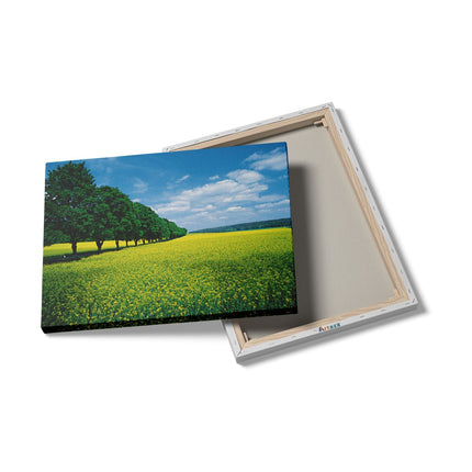 Canvas Schilderij Details Weide Landschap Natuur