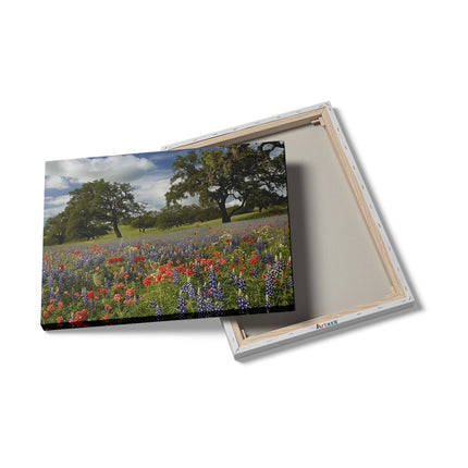 Canvas Schilderij Details Veld met Wilde Bloemen in Texas