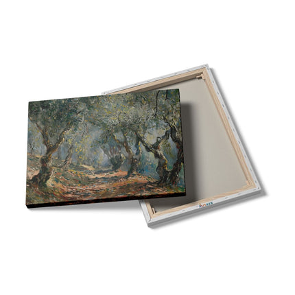 Canvas Schilderij Details Kunstwerk van een Pad door Olijfbomen