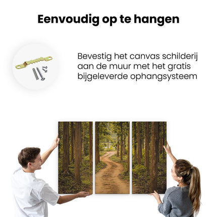 Drieluik schilderij ophangen Pad In Het Bos Met Bomen