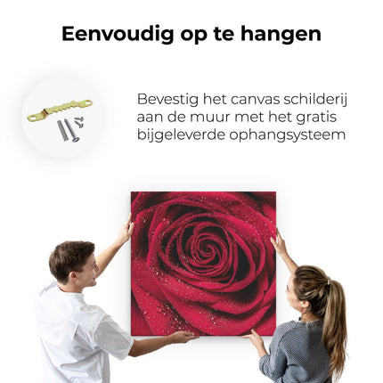 Canvas schilderij ophangen Rode Roos Met Waterdruppels - Bloem