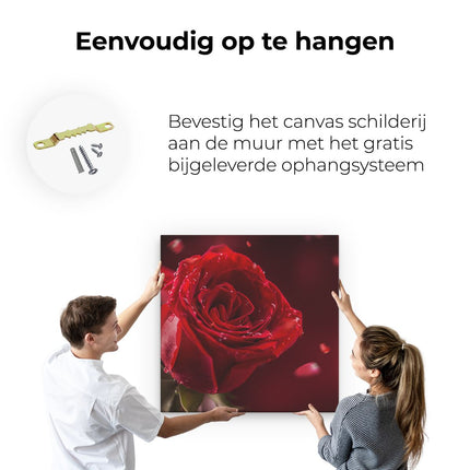 Canvas schilderij ophangen Romantische Rode Roos