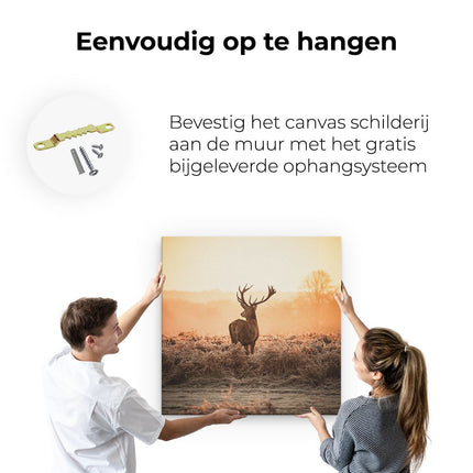 Canvas schilderij ophangen Hert In De Wei Tijdens De Zonsopkomst