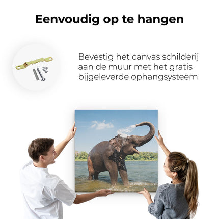 Canvas schilderij ophangen Vrolijke Olifant In Het Water 