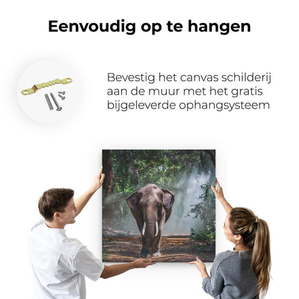 Canvas schilderij ophangen Olifant In Het Bos