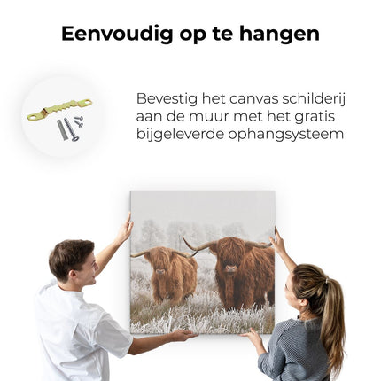 Canvas schilderij ophangen Twee Schotse Hooglander Koeien In De Wei