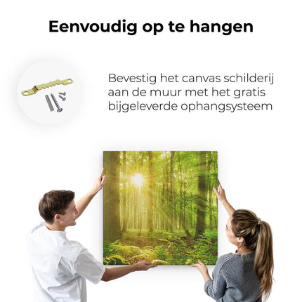 Canvas schilderij ophangen Groen Bos Met Schijnende Zonnestralen