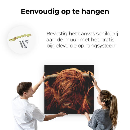 Canvas schilderij ophangen Schotse Hooglander Koeienkop - Kleur