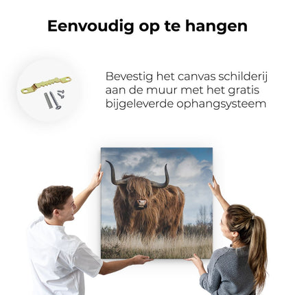 Canvas schilderij ophangen Schotse Hooglander Koe - Kleur