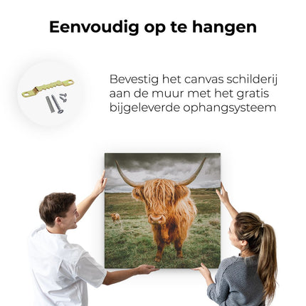 Canvas schilderij ophangen Schotse Hooglanders In De Wei - Kleur