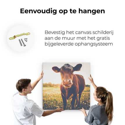 Canvas schilderij ophangen Koe In De Wei Tijdens Zonsondergang