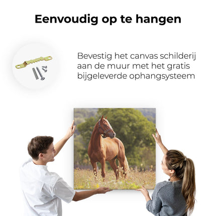 Canvas schilderij ophangen Bruin Paard In De Wei