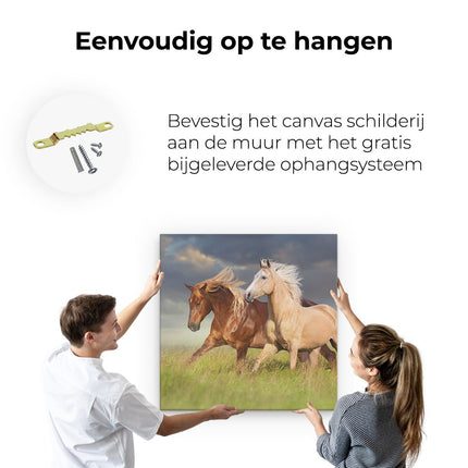 Canvas schilderij ophangen Bruin En Wit Paard In De Wei