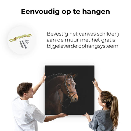 Canvas schilderij ophangen Bruin Paard Op Een Zwart Achtergrond