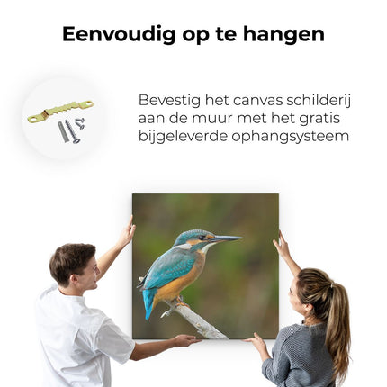 Canvas schilderij ophangen Blauwe IJsvogel Op Een Tak