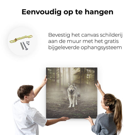 Canvas schilderij ophangen Grijze Wolf In Het Bos