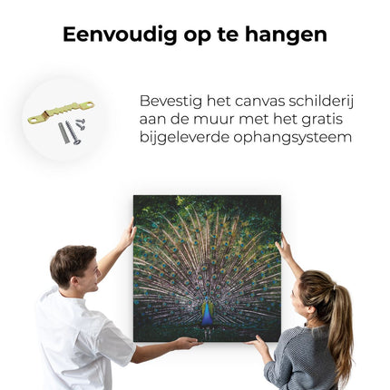 Canvas schilderij ophangen Pauw Met Kleurrijke Veren - Kleur