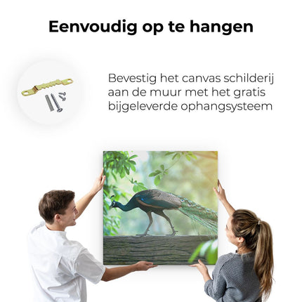 Canvas schilderij ophangen Pauw Loopt Op Een Tak In De Natuur
