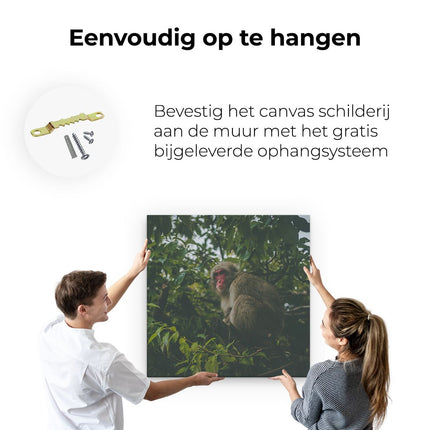Canvas schilderij ophangen Aap In De Boom Tussen De Bladeren